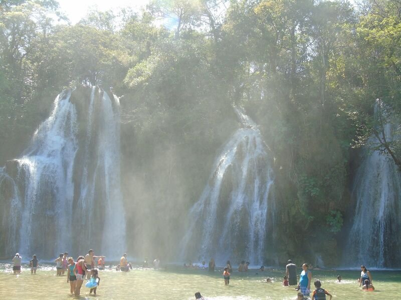 Cascadas entre selva con neblina
